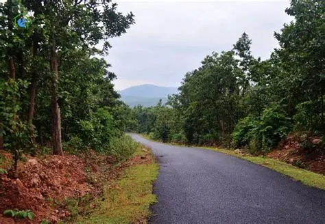 Kanakrajhor Forest