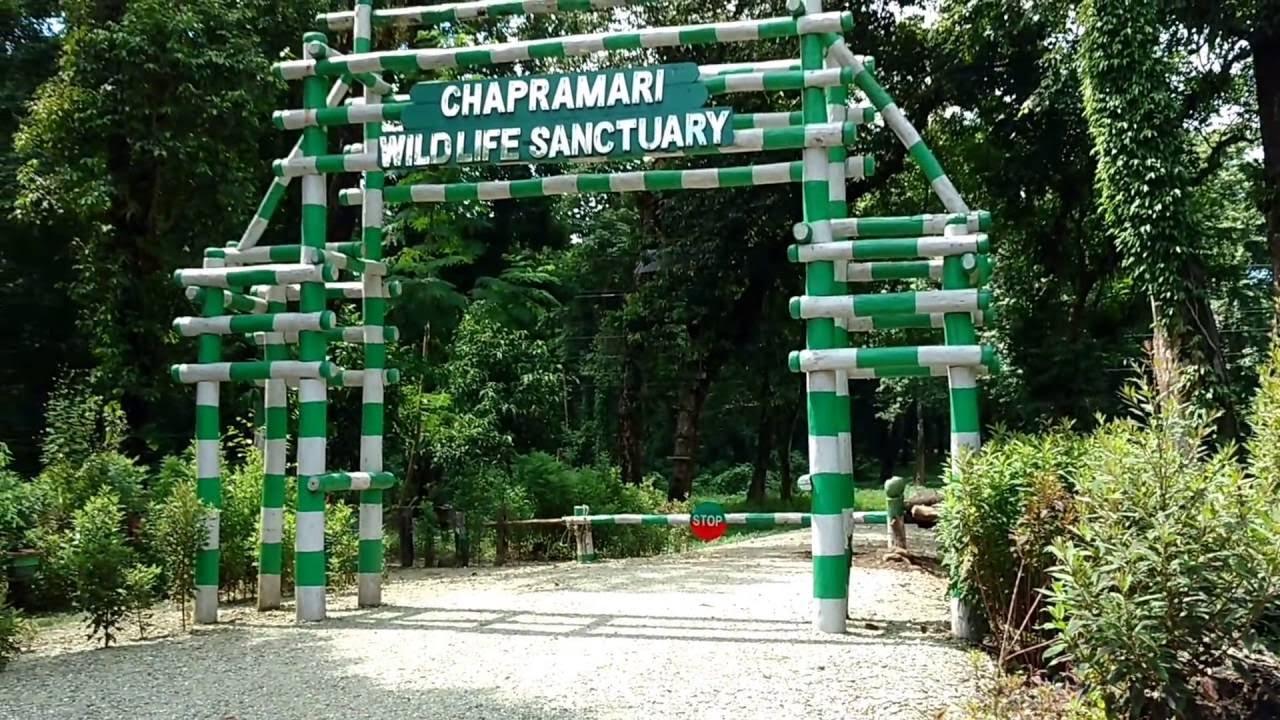 chapramari wildlife sanctuary